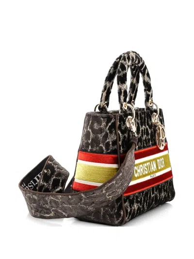 Pre-owned Dior Lady D-lite Bag Mizza Embroidered Velvet Medium Tote Bag In Brown