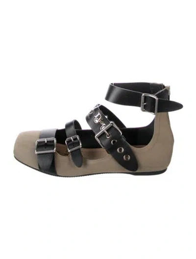 Pre-owned Dior Leather Eyelet Trim Ballet Flats In Multicolor