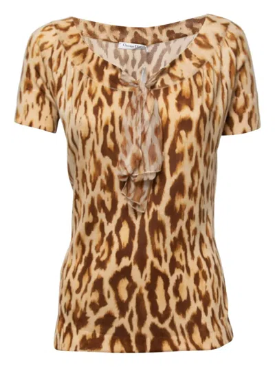 Pre-owned Dior Leopard-print Top In Neutral