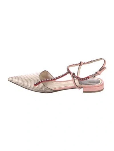 Pre-owned Dior Lizard Animal Print Slingback Flats In Neutral
