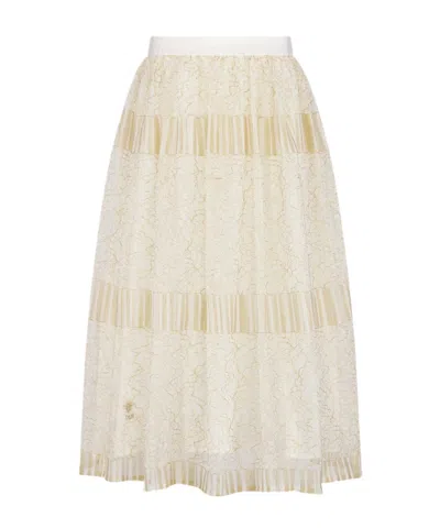 Dior Long Skirt In Neutral