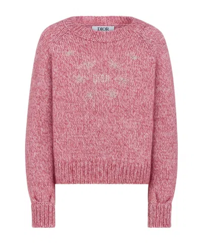 Dior Long Sleeve Sweater In Pink