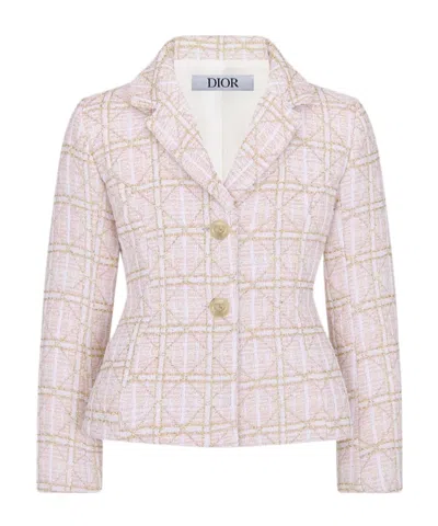 Dior Long-sleeved Jacket In Pale Pink