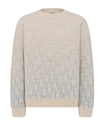 Dior Long-sleeved Sweater In Brown