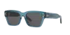 Dior Man Sunglass Cd Diamond S2i In Grey