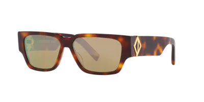 Dior Cd Diamond S5i Sunglasses In Brown