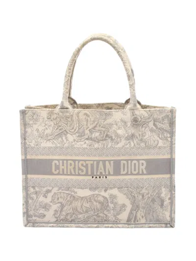 Pre-owned Dior Medium Book Tote Bag In Neutral
