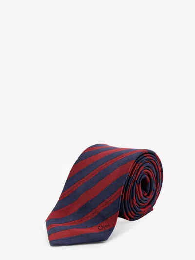 Dior Men Silk Tie In Multi