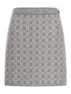 Dior Mini Skirt
