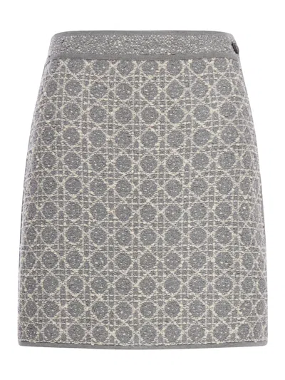 Dior Mini Skirt
