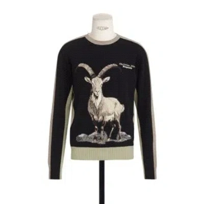 Dior Mountain Sweater In Multi