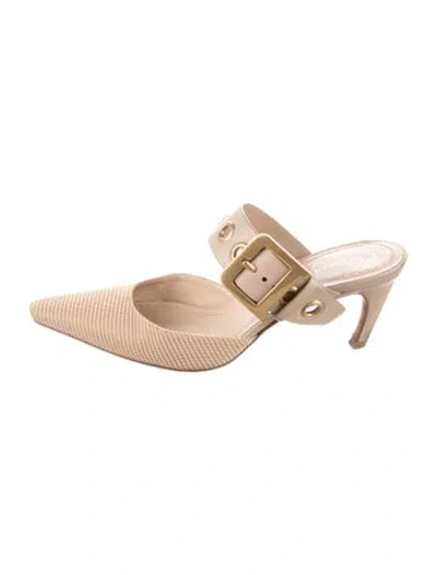 Pre-owned Dior Mules In Neutrals