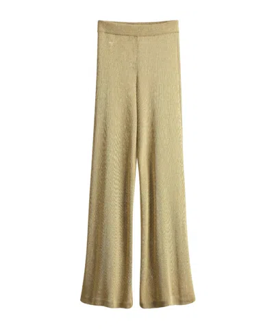 Dior Or Flared Pants In Brown