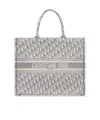 Dior Pattern Handbag In Gray