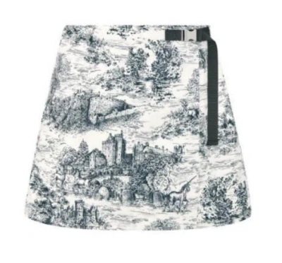 Dior Pattern Skirt In Gray