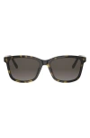 Dior Petit Cd S2i 54mm Rectangular Sunglasses In Brown