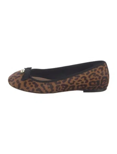 Pre-owned Dior Ponyhair Animal Print Ballet Flats In Brown