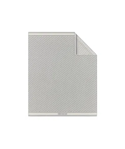 Dior Printed Carpet In Gray