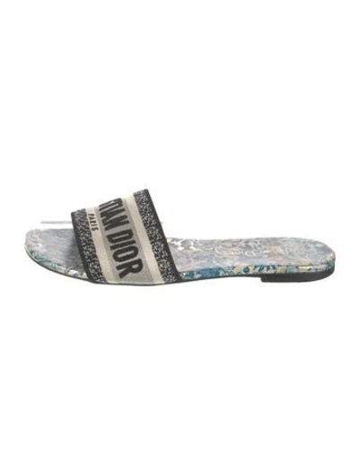 Pre-owned Dior Printed Embroidered Accent Flats In Blue