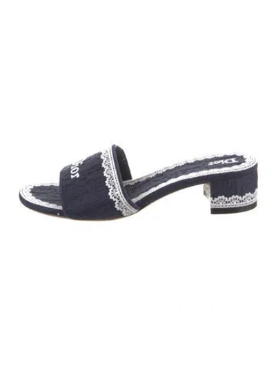 Pre-owned Dior Printed Embroidered Accent Slides In Blue