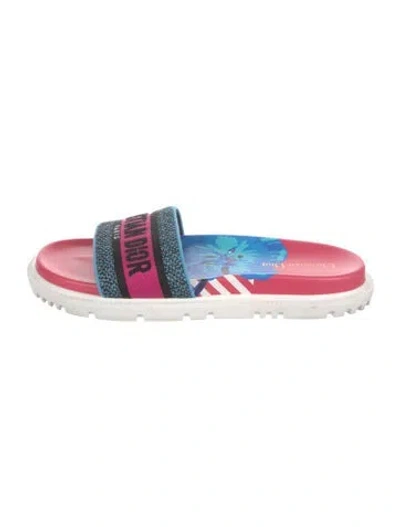 Pre-owned Dior Printed Embroidered Accent Slides In Blue