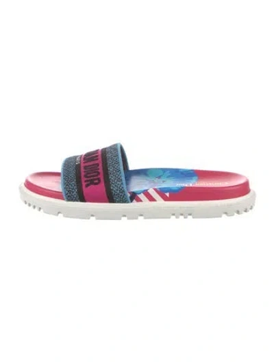 Pre-owned Dior Printed Embroidered Accent Slides In Multi