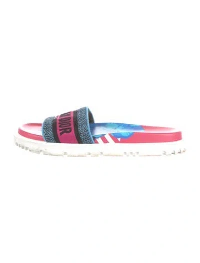 Pre-owned Dior Printed Embroidered Accent Slides In Pink