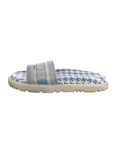 Pre-owned Dior Printed Espadrilles In Blue