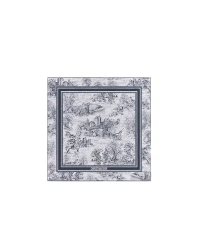 Dior Printed Scarf In Gray