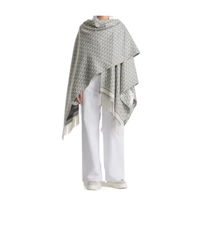 Dior Printed Scarf In Gray