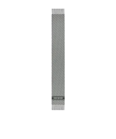 Dior Printed Scarf In Gray