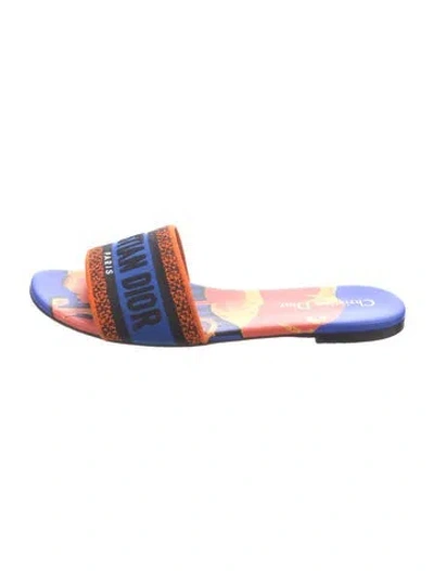 Pre-owned Dior Printed Slides In Blue
