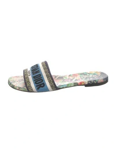 Pre-owned Dior Printed Slides In Blue