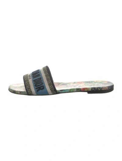 Pre-owned Dior Printed Slides In Blue