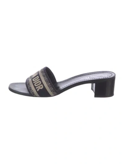 Pre-owned Dior Printed Slides In Blue