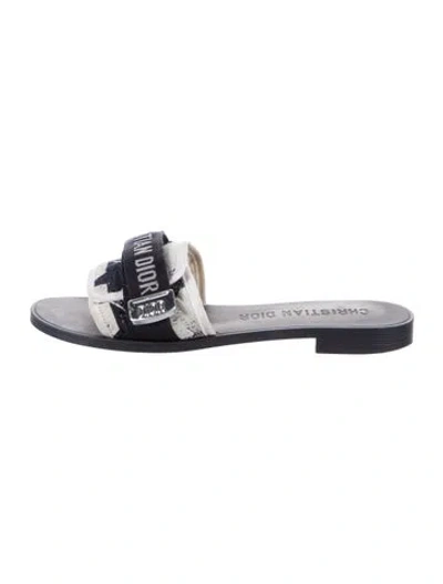 Pre-owned Dior Printed Slides In Blue
