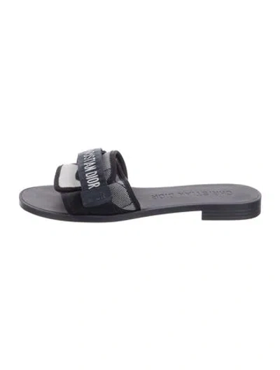 Pre-owned Dior Printed Slides In Blue