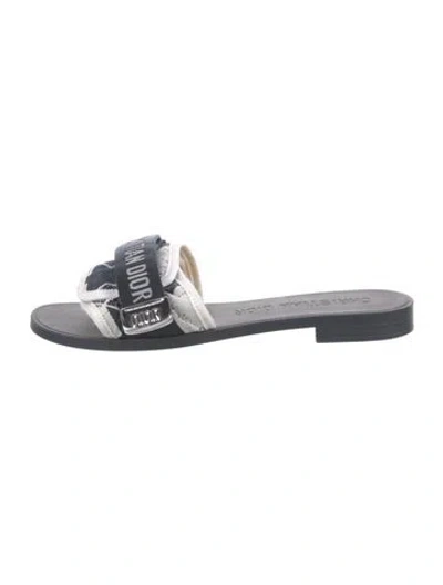 Pre-owned Dior Printed Slides In Gray