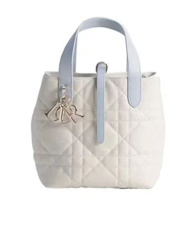 Dior Qixi Small  Toujours Vertical Tote Bag In Neutral
