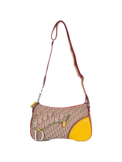 Pre-owned Dior Rasta Trotter Double Saddle Cross Body Bag In Neutral