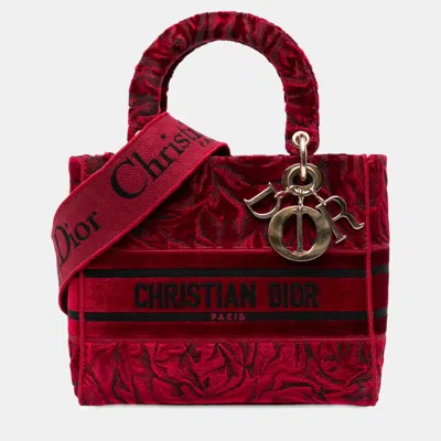 Pre-owned Dior Red Medium Embroidered Velvet Roses Lady D Lite