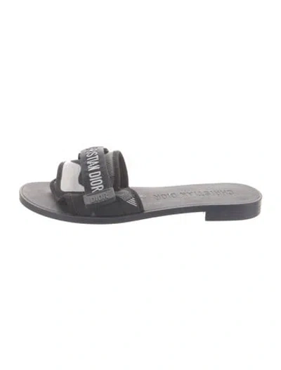 Pre-owned Dior Rubber Graphic Print Slides In Blue