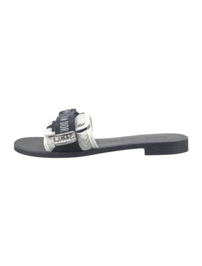 Pre-owned Dior Rubber Graphic Print Slides In Blue