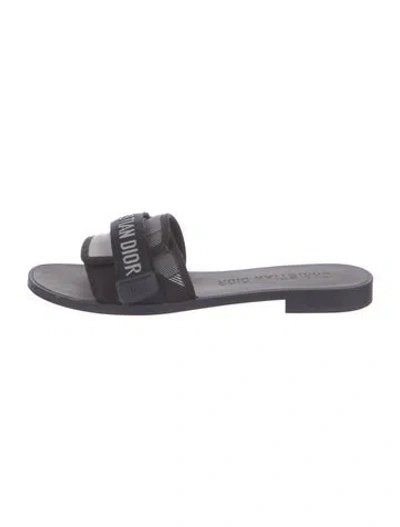 Pre-owned Dior Rubber Printed Slides In Blue