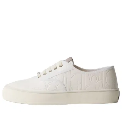 Dior Saltwind Sneaker In Multi