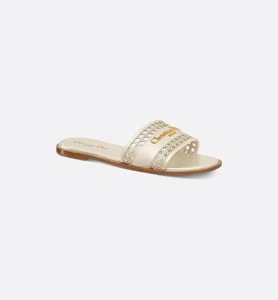 Dior Sandal Shoes In Grey