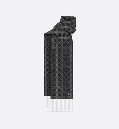 Dior Scarf Accessories In Gray