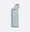 Dior Lightweight Rectangular Scarf Fringe Detail In Blue