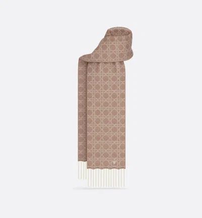 Dior Scarf Accessories In Brown