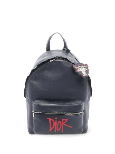 Pre-owned Dior × Shawn Stussy 2000s Rider Leather Backpack In Blue